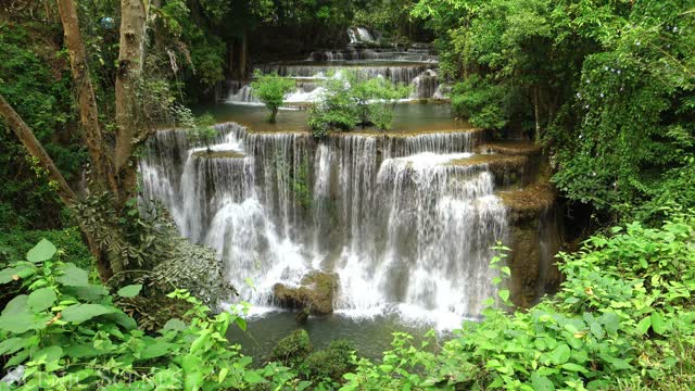 Incredible Tropical Rainforest of the World: