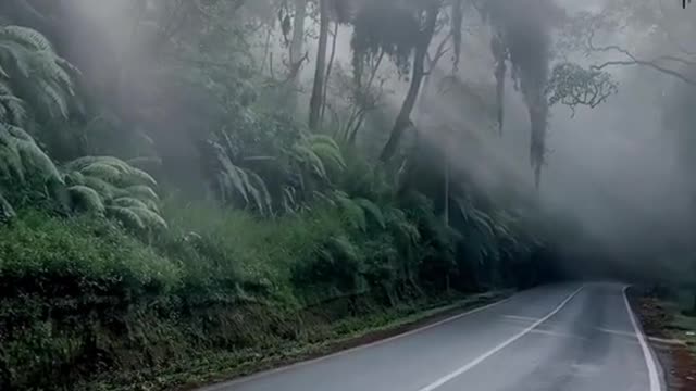 What kind of person would enjoy such an atmosphere