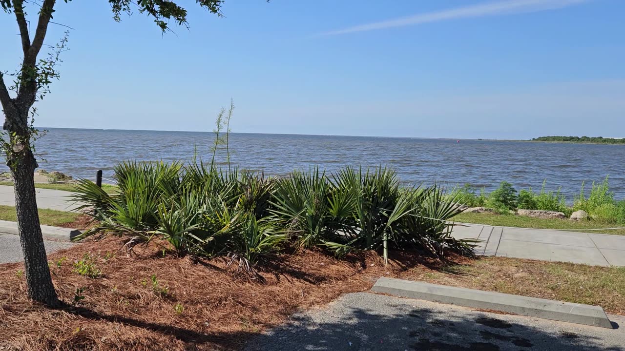 GSG Topless Thursday 001