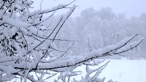 Snow Winter 4K Relaxation Film Meditation