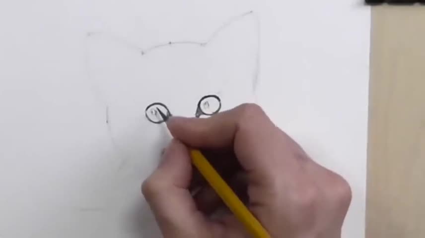 Teach You To Draw The Eyes Of A Kitten