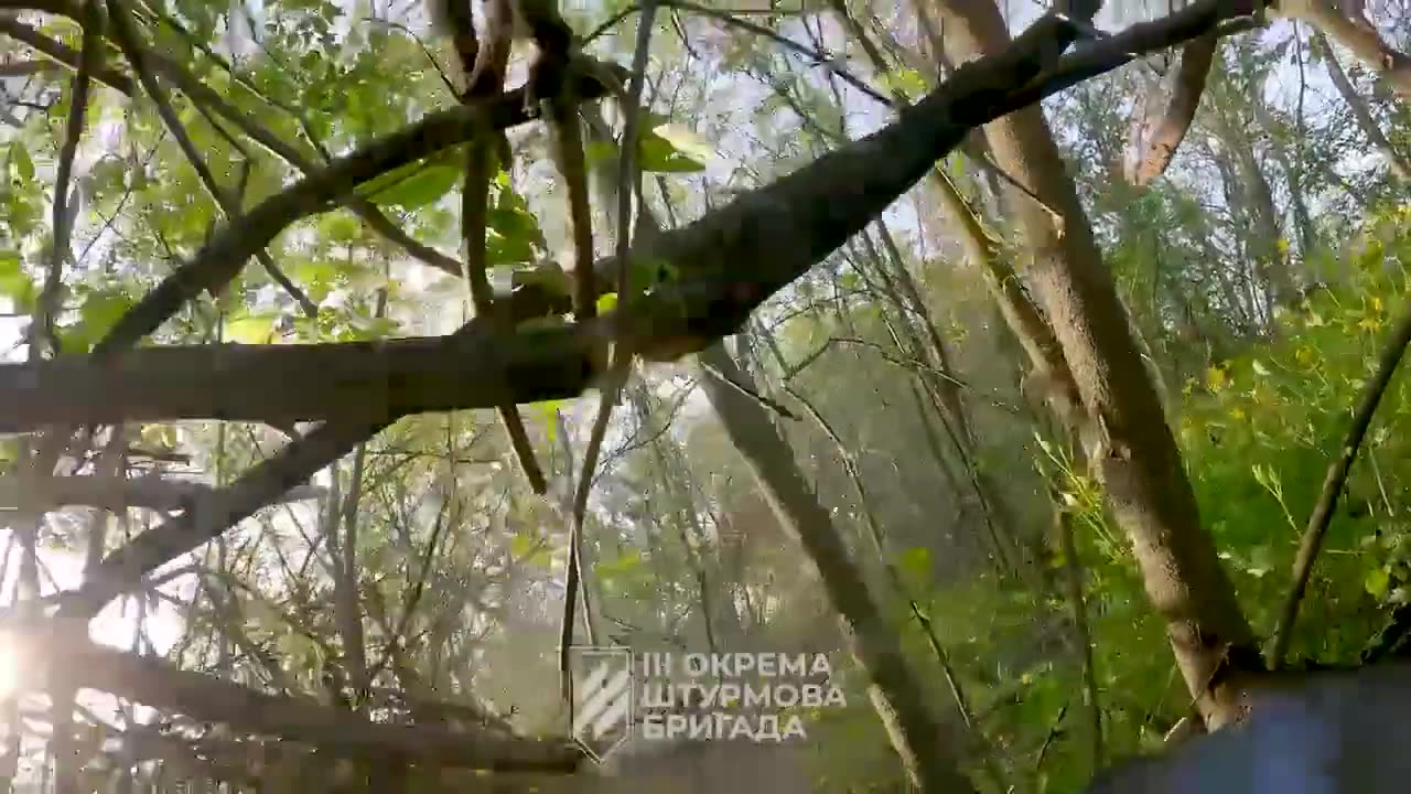 Clearing a forest belt on the outskirts of Bakhmut