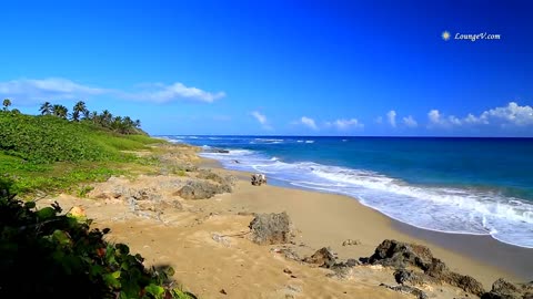 Tropical Ocean HD 1080p Video with Beach Sounds