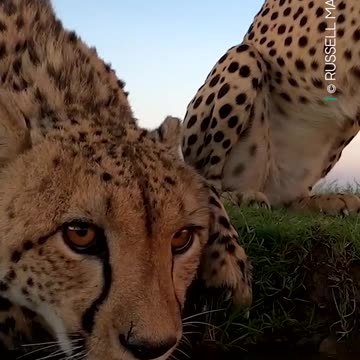 Incredible moments captured by the BBC Earth community