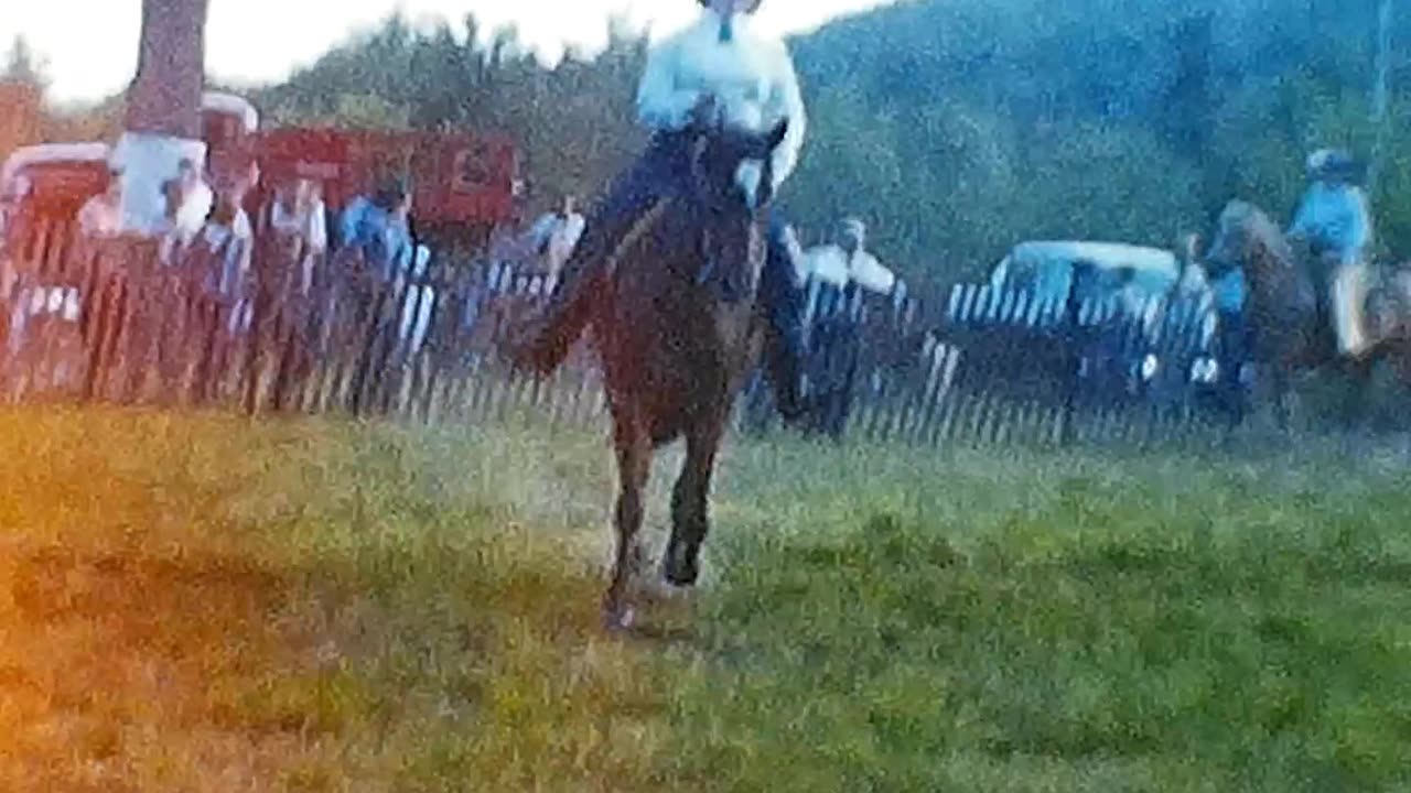 Horse Show! 1961 or 1962 - Athol, MA?