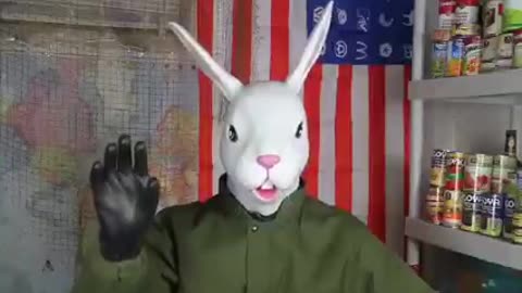 The Rabbit Hole 🐇🐰