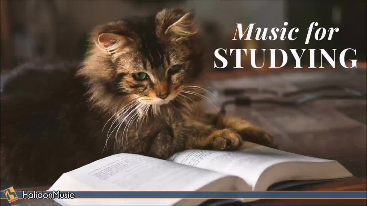 Classical Music for Studying & Brain Power _ Mozart, Vivaldi, Tchaikovsky...