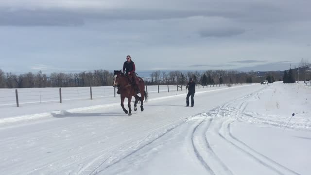 Montana Barefoot Skijor