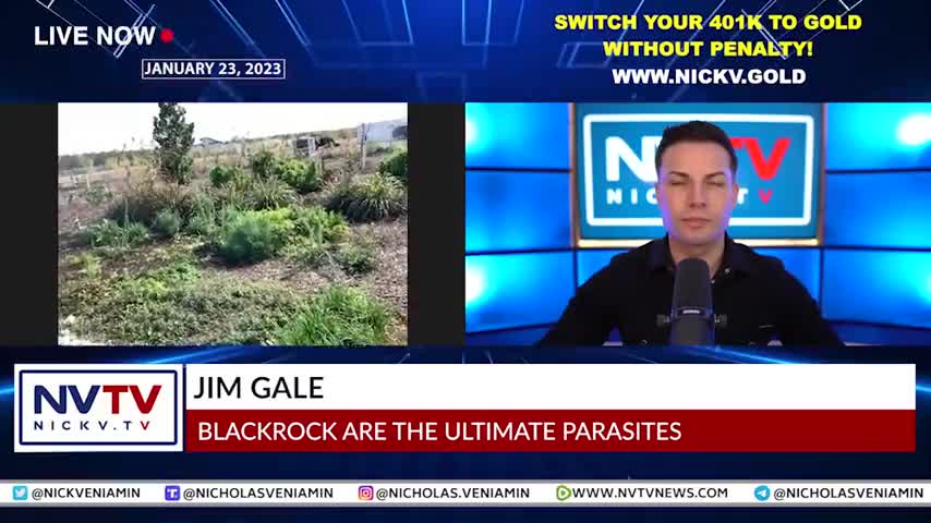 BlackRock Ultimate Parasites