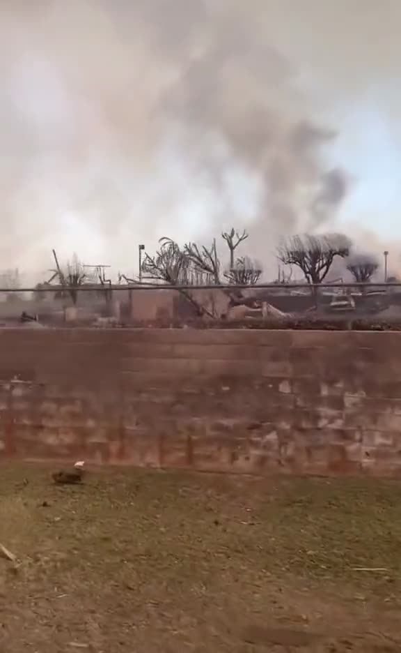 WATCH: Apocalyptic scenes after deadly Maui fires in US State of Hawaii
