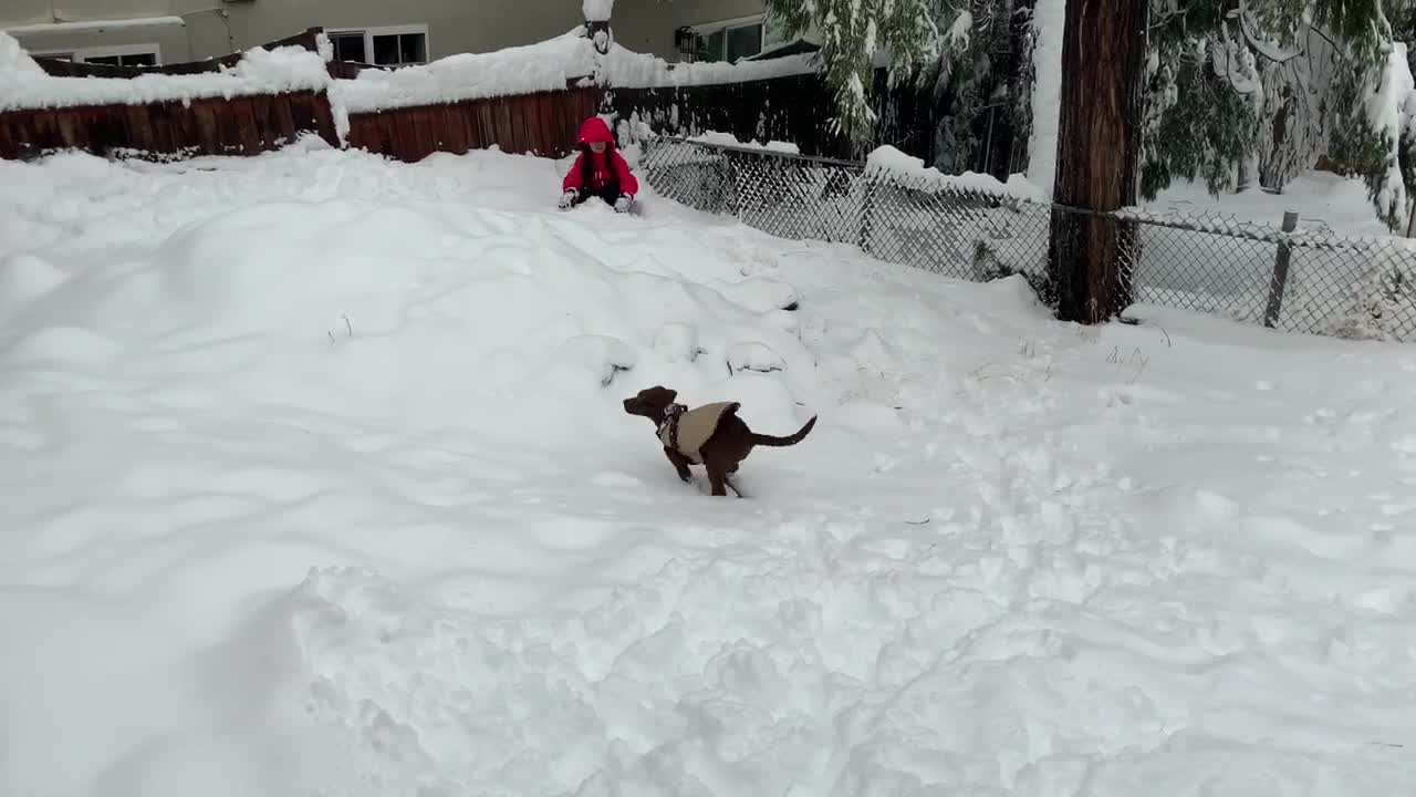 Hazel’s first snow