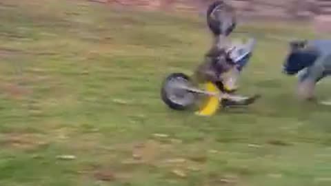 Oopsy