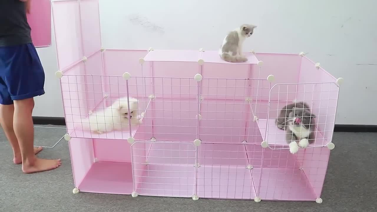 DIY Prefab House Install for Pomeranian Poodle puppies & New kitten - Building House Fun Dog Video