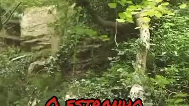 WOMAN MAKES CONTACT WITH AN ALIEN IN THE FOREST OF ENGLAND WATCH THE VIDEO AND SHARE