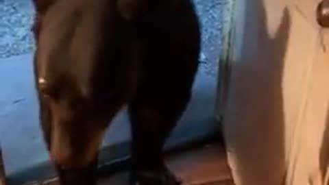 He bearly escaped