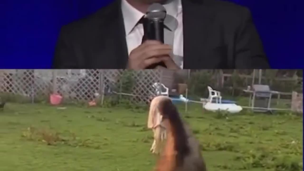 Standup comedy