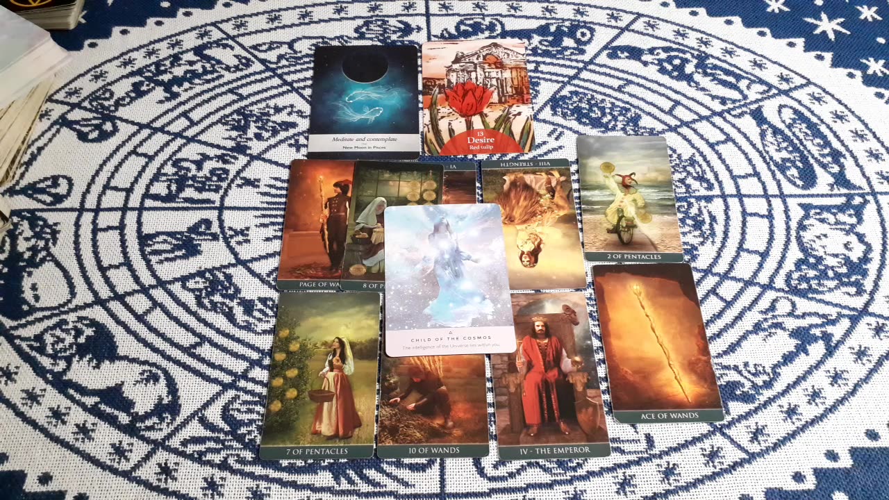 Cancer ♋ Desire and discipline"