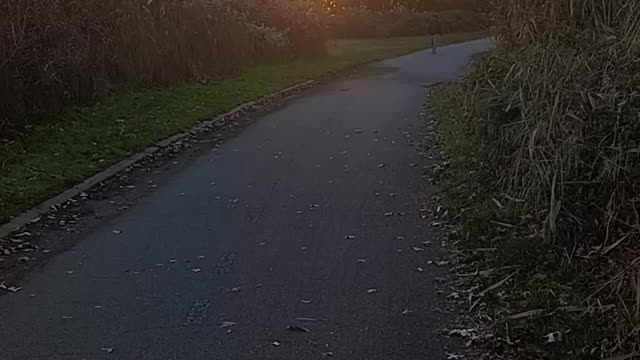 Sunset video