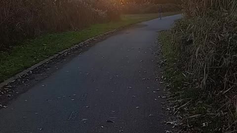Sunset video
