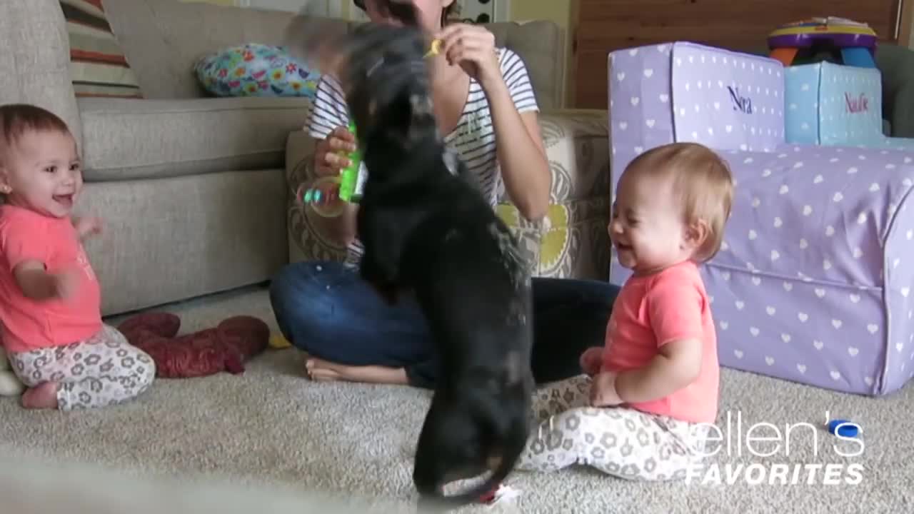 Sweet Baby Fanny Video