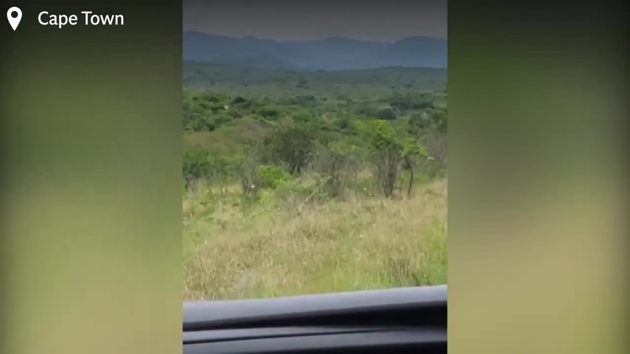 A tourist runs away from a bull elephant into a lion infested wilderness