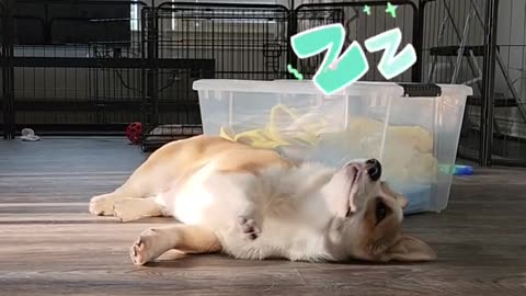 He must have been dreaming about dinner 🤣