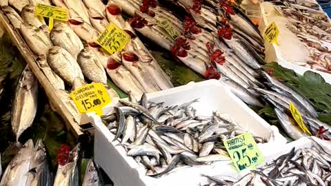 Fish market in Istanbul