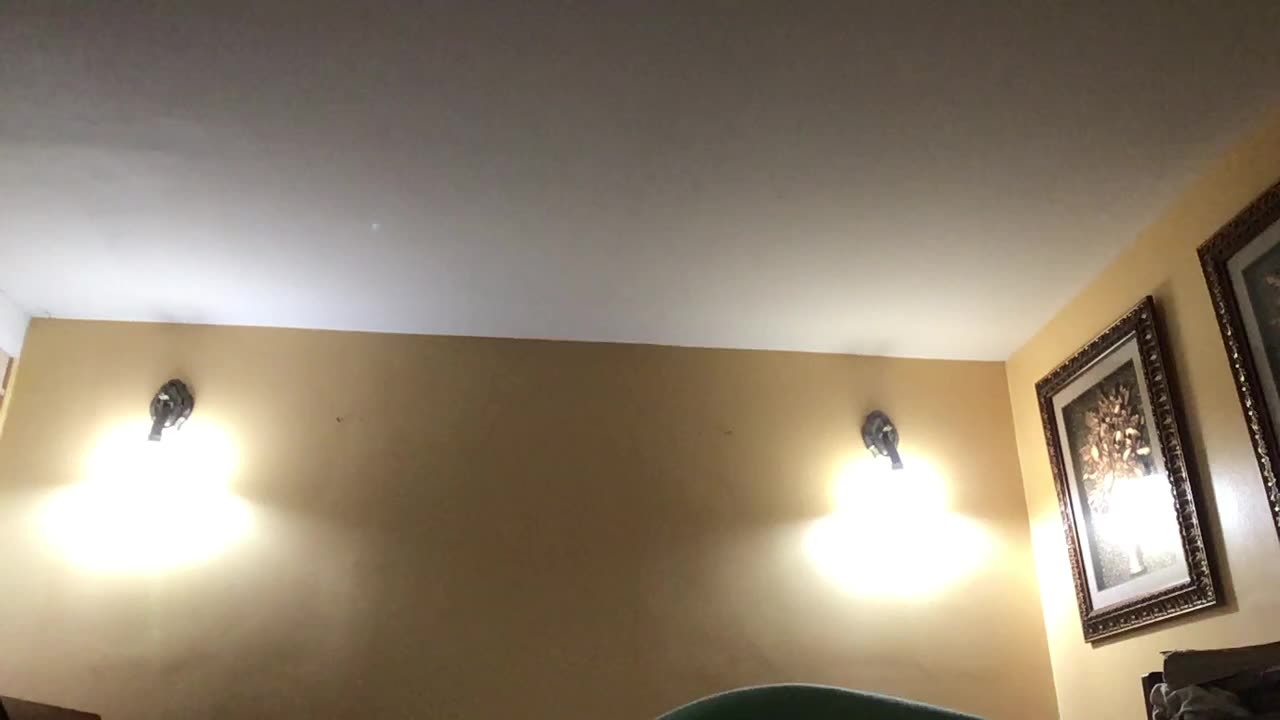 Cross kick Studio Films Shoulders raises