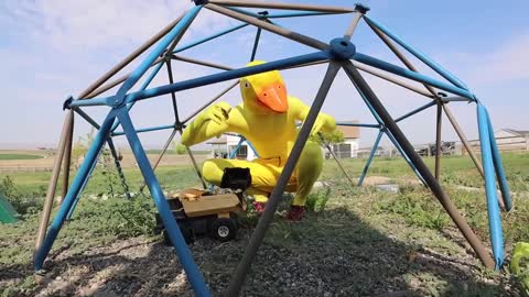 Surprise puppy and rubber duck with car ride chase!