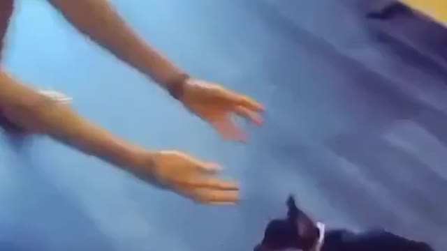 Moar pls (ig pennyandboo1)