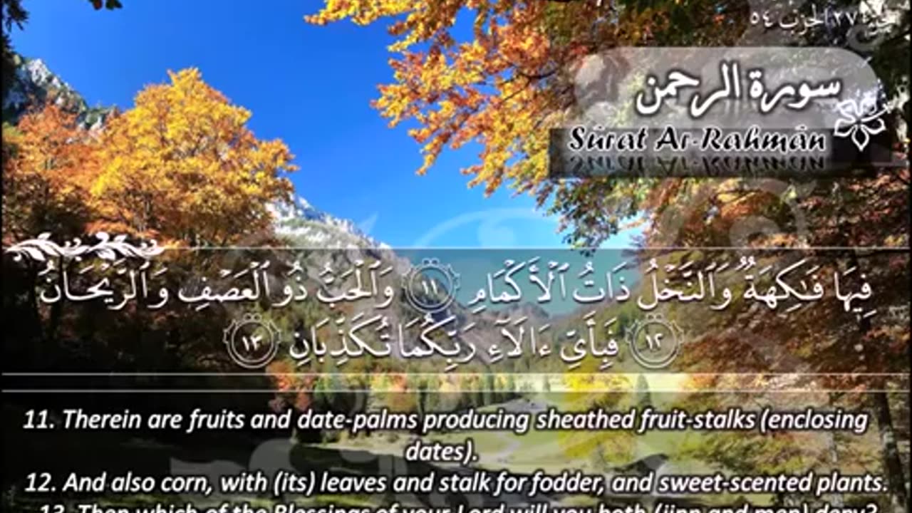 55.SURAH 055 RAHMAN RECITATION BY SHEIKH MAHER AL MUAIQL.mp4