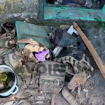 Russian troops reach some country house near Ugledar, find that some Ukrainian troops