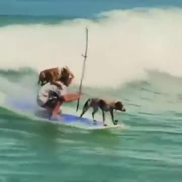 Anti-Loosh Video Number 5. LOOSH is real and bad. Explained below and watch the video!