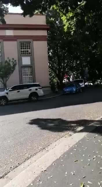 Kat court in the act