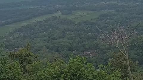 Pemandangan di gunung⛰️