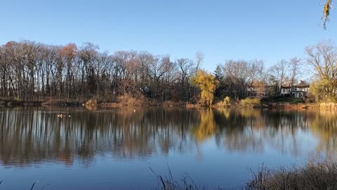 Neighborhood Pond in Late Afternoon