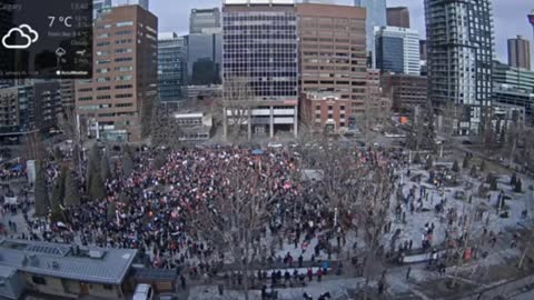 Calgary Trucker Convoy Support Rally - January 20 2029 - live cam footage