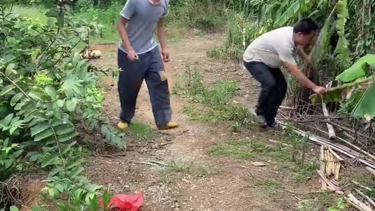 Funny video 3