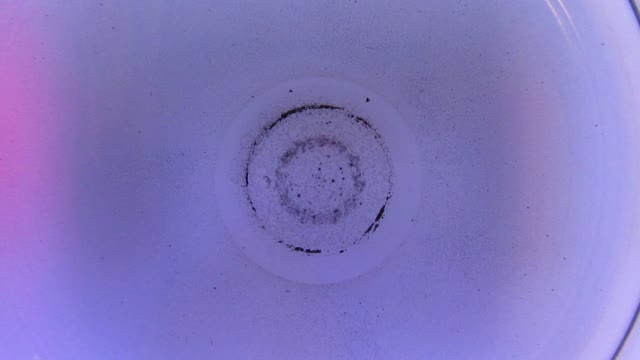 Particles in a dish (4)