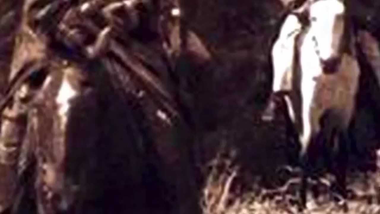 Skinwalker Is Spotted!!!