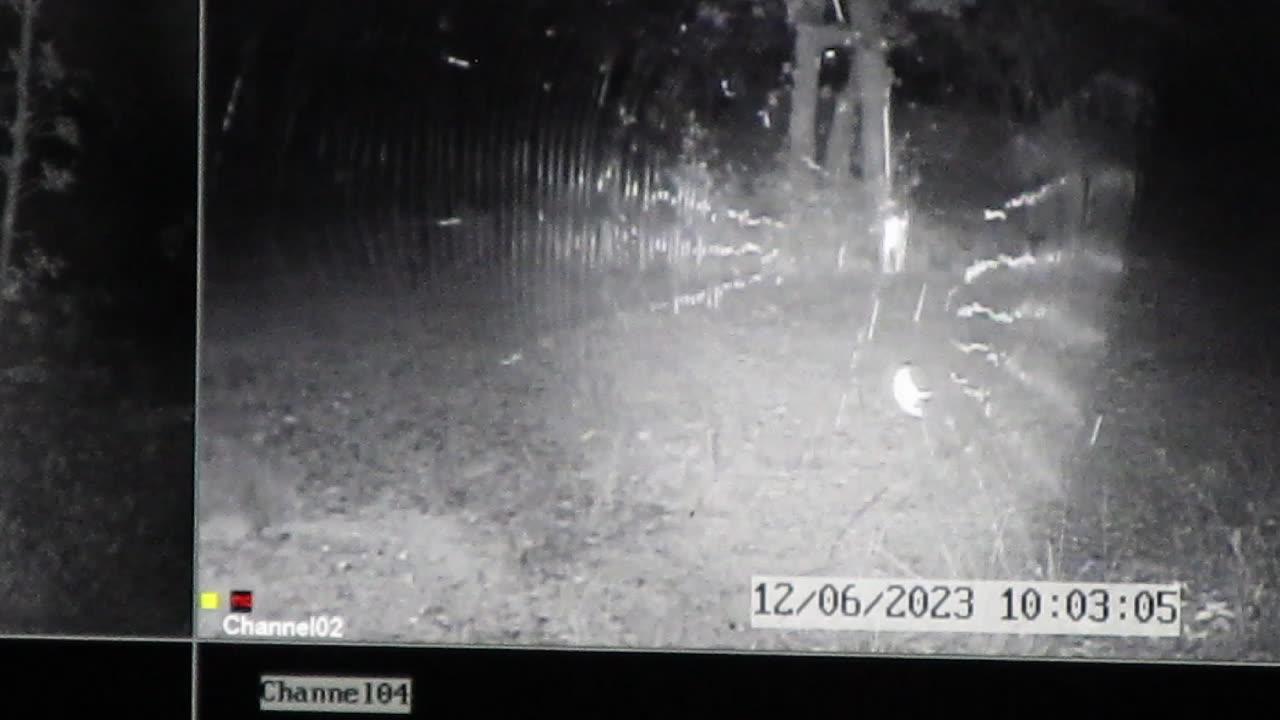 Spider Cam