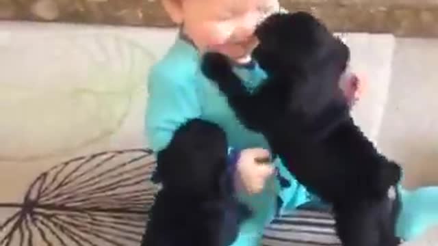 Beautiful Puppies Love Babies Compilation 😍 A Cute Puppy 🐶and Baby👶 Videos 2022