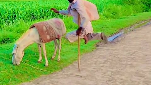 Hello Facebook team is it to get a free 🆓 to get rid