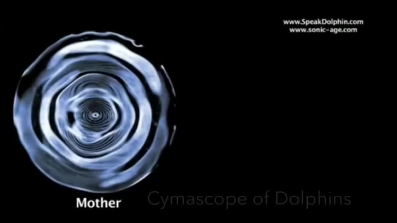 Actual Footage of the Stars and Planets Wandering Stars