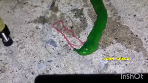 #AΠΙΣΤΕΥΤΑ ΟΝΤΑ (#Εσω-Γης)... Κανουν #ΕΜΦΑΝΙΣΗ σε ΠΟΛΛΑ #ΜΕΡΗ !!🧐