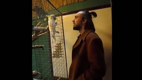 PARROT Confront a HOOMAN