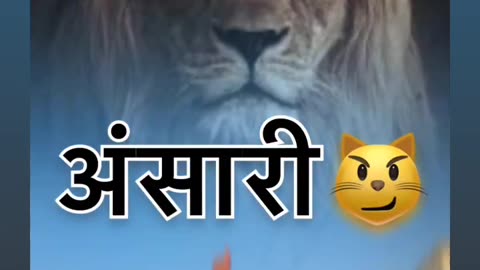 Ansari