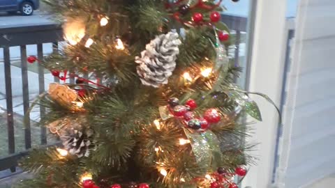 OUR CHRISTMAS TREE 2022
