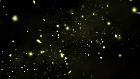 Fireflies Gold Particles at Night [Free Stock Video Footage Clips]