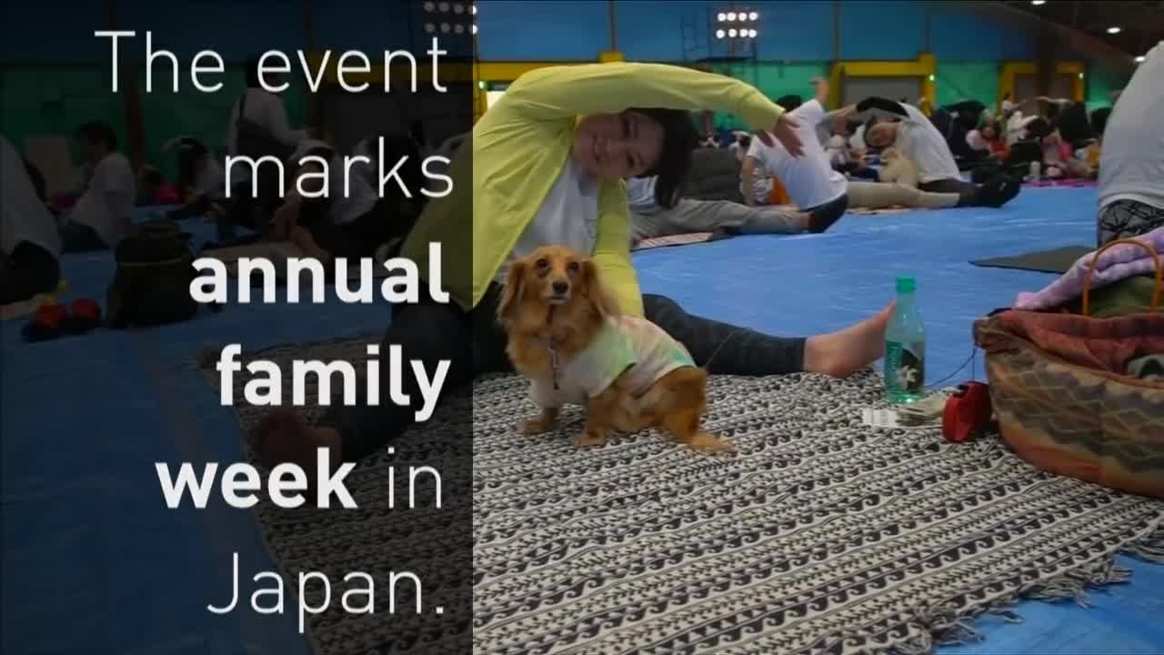 Doggy yoga takes over Japan